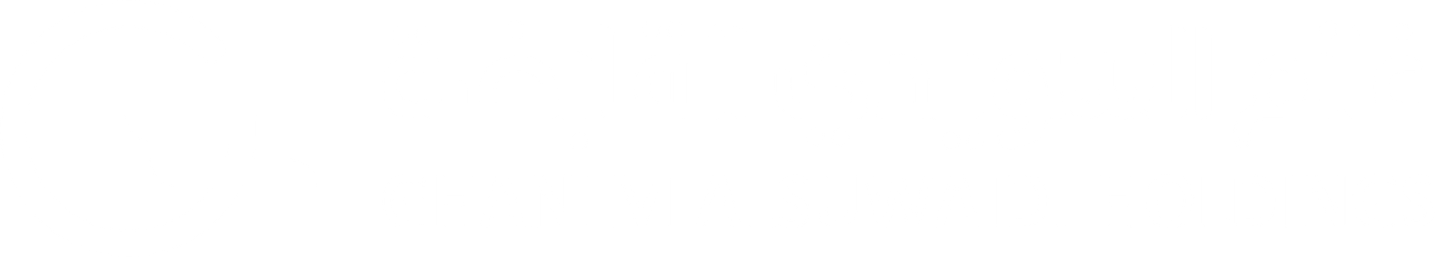 AG Holdings